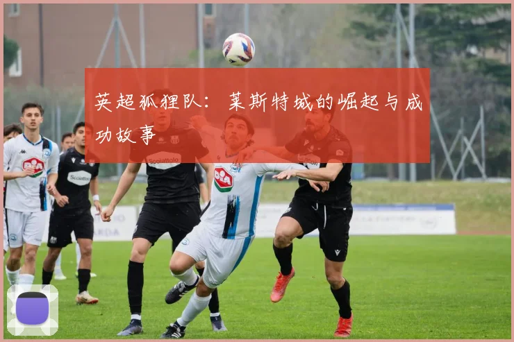 英超狐狸队：莱斯特城的崛起与成功故事