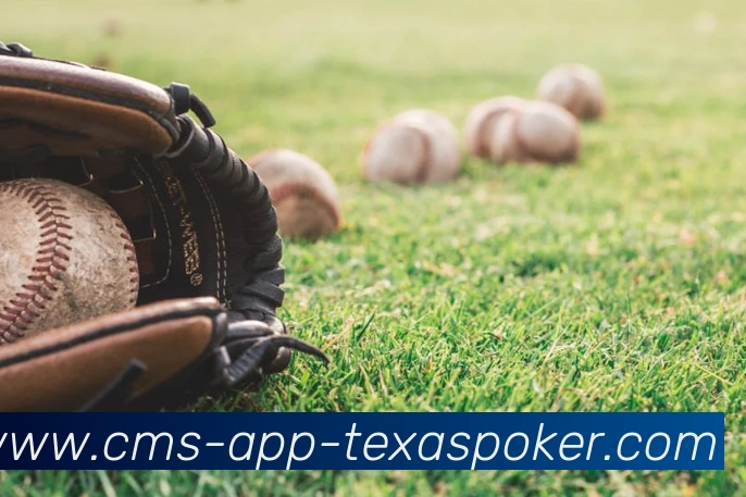 App Interface Preview